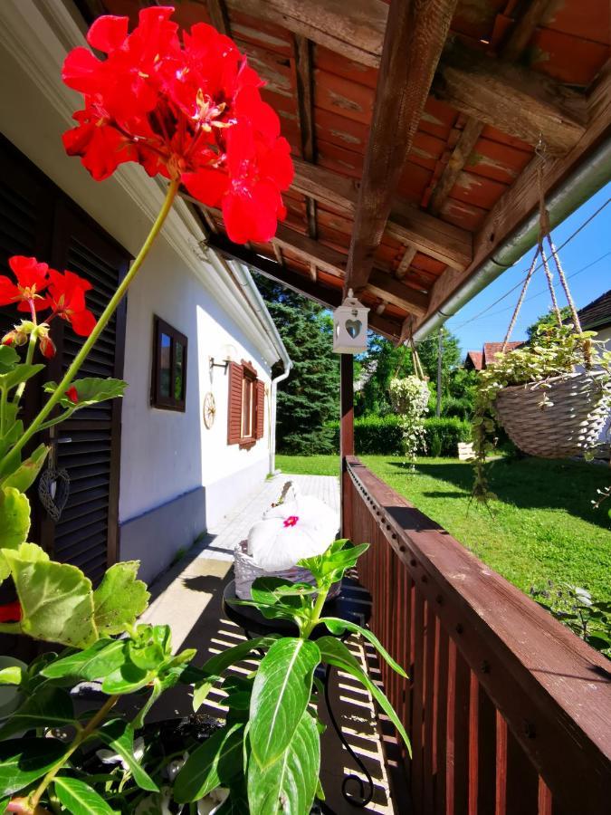 Orseg Kincse Guest House Hegyhatszentjakab Exterior photo